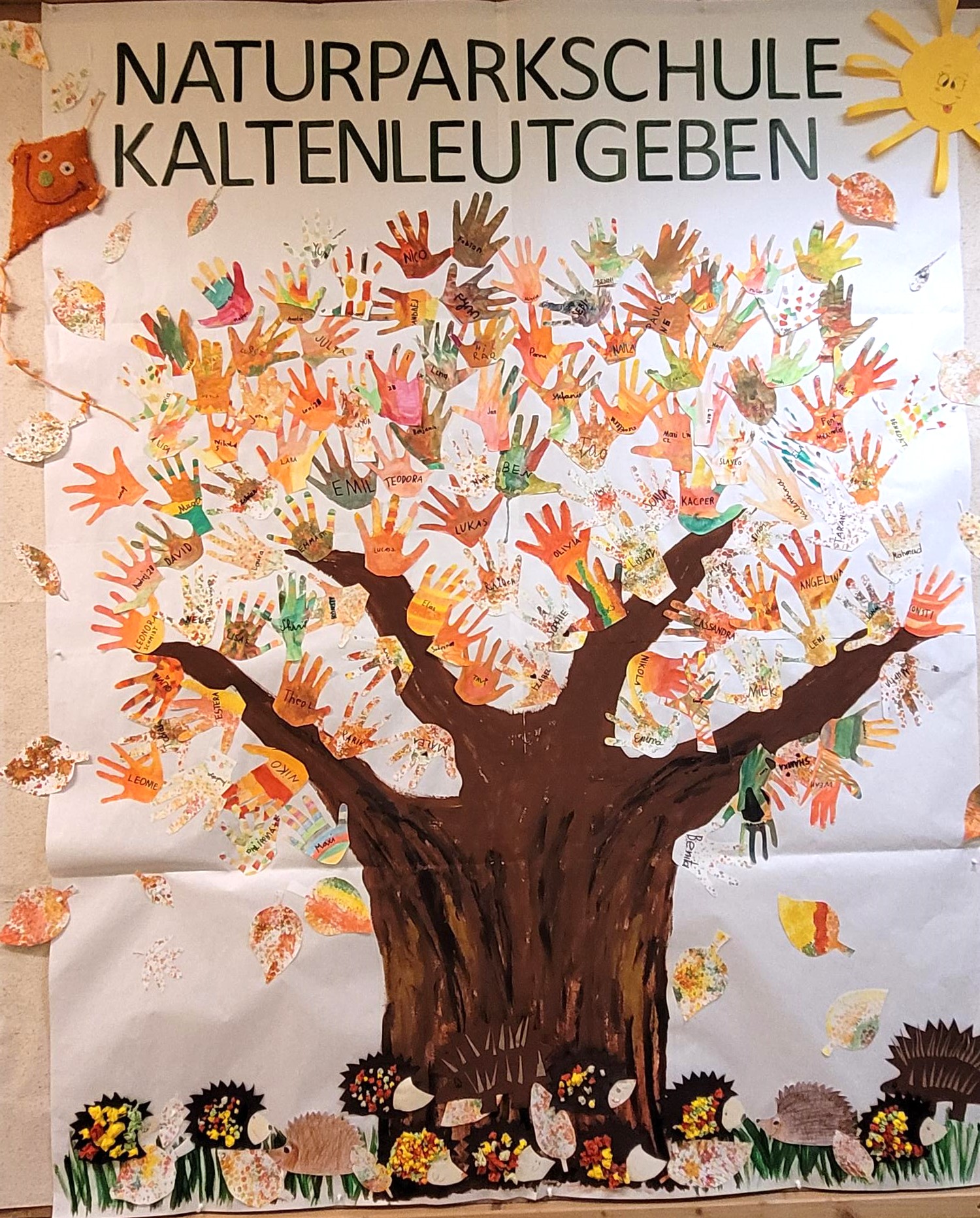 This image for Image Layouts addon